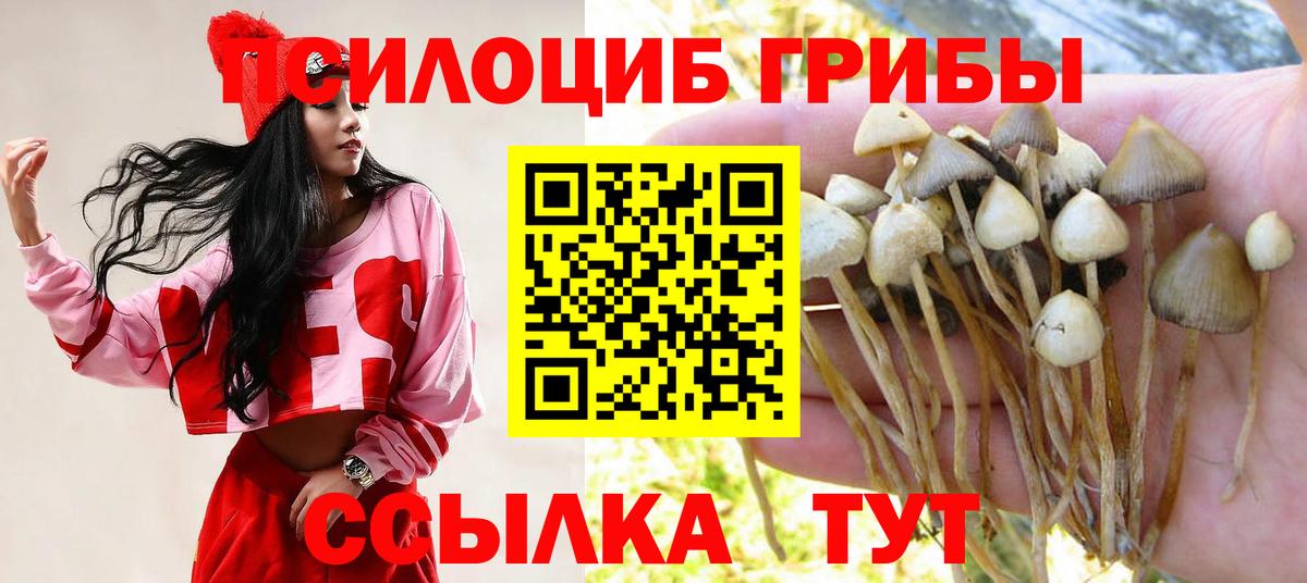 Псилоцибиновые грибы Psilocybine cubensis Губкинский