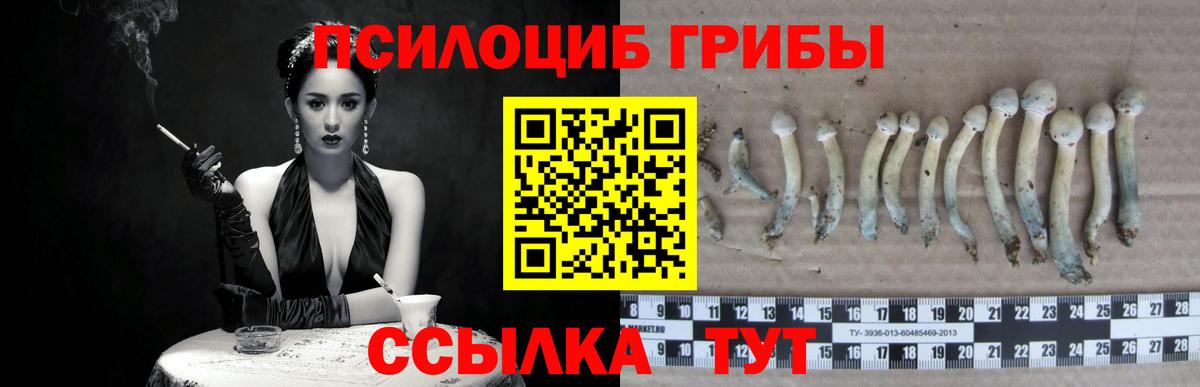 Псилоцибиновые грибы Psilocybine cubensis  Вход с VPN  Губкинский 